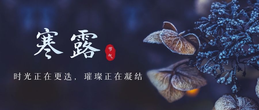寒露 ▎時(shí)光更迭，璀璨正在凝結(jié)~