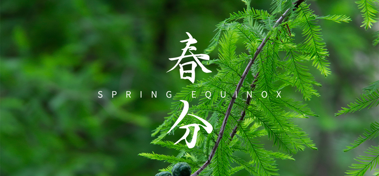 春分 ▎不負春光，萬物生長