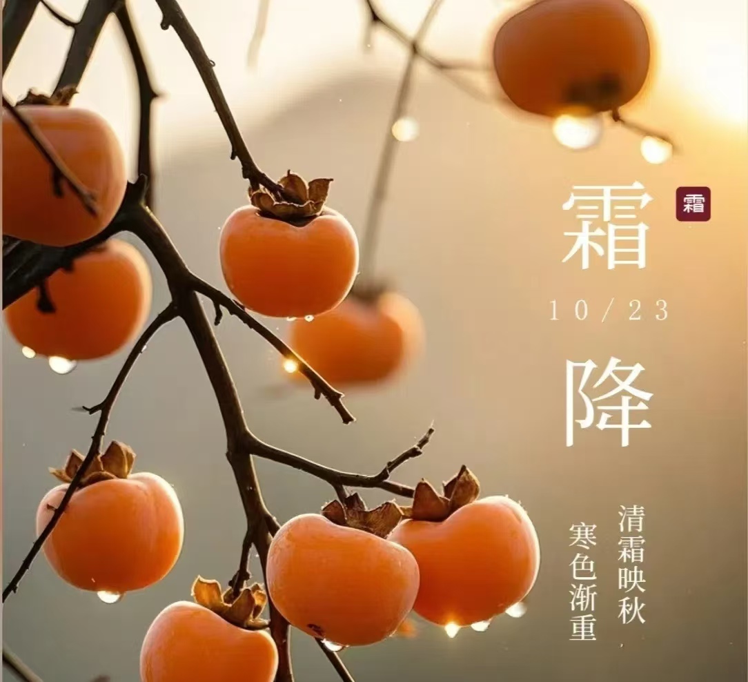 霜降||人間至此秋色盡，草木搖落露為霜