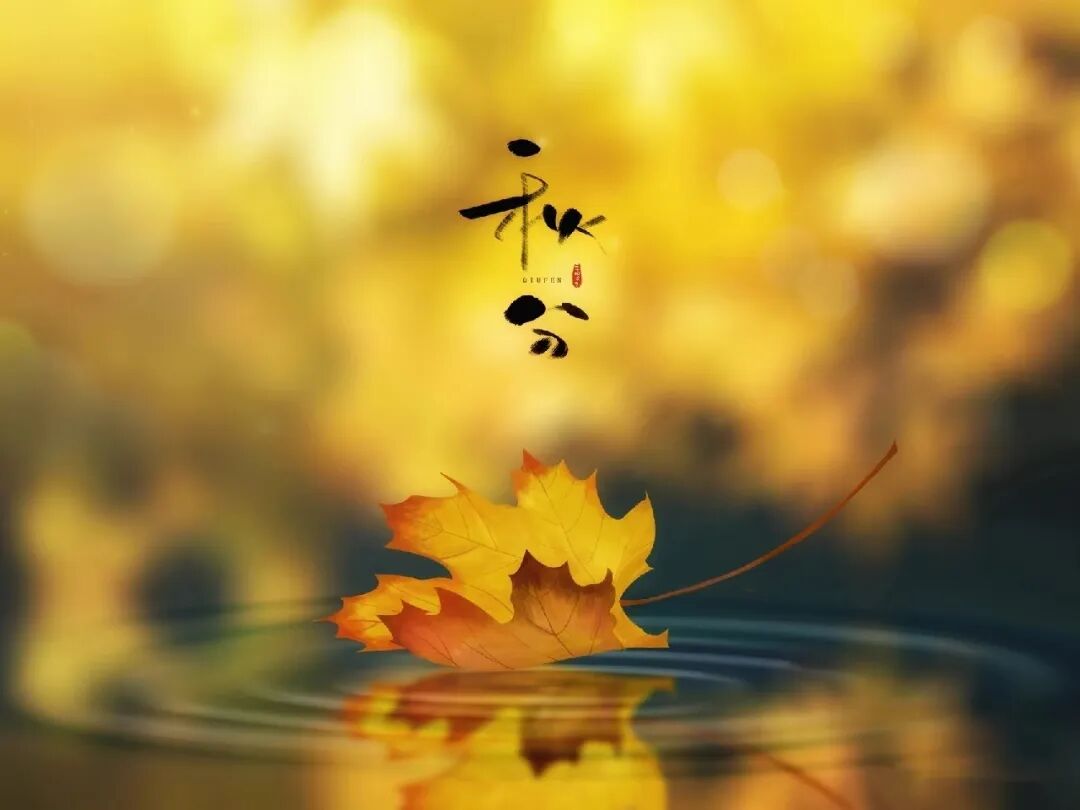 秋分，在格瑞特莊園與時(shí)光對(duì)飲